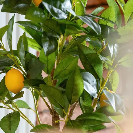 Atrakcyjny Z 2 Sypialniami, Parkingiem&balkonem By Renters Apartament *