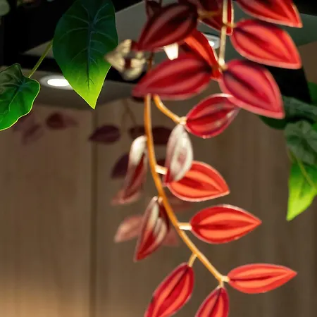 Atrakcyjny Z 2 Sypialniami, Parkingiem&balkonem By Renters Apartament *