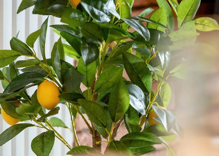 Atrakcyjne Z Parkingiem & Balkonem By Renters Lejlighed *