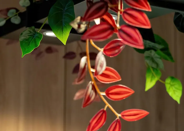 Atrakcyjne Z Parkingiem & Balkonem By Renters Lejlighed *